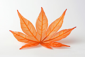 A Single Maple Leaf in Fiery Orange on a Crisp White Surface.