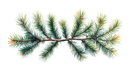 Evergreen Branch: Close-up of an elegant evergreen branch, capturing the detailed texture of the needles and the natural symmetry of its form, ideal for evoking feelings of calm and holiday ambiance.