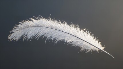 Obraz premium Single White Feather on a Pale Green Background Illustration 