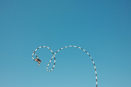 Revolution kite flying in the clear blue sky, kite festival