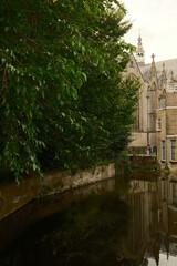 Lush foliage bordering canal reflecting historic church in bruges