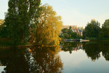 Fototapeta premium Tranquil canal reflecting lush treesdawn in a dutch town
