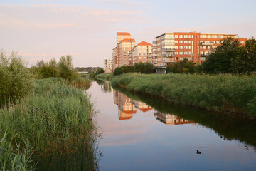 Canal reflecting residential buildings at sunset with reeds and bird