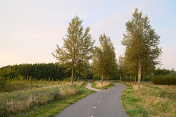Winding bicycle path through green meadow at sunset
