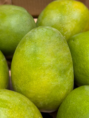 Mango is a very popular fruit, which is also called the 