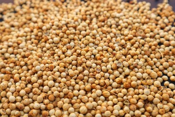 Coriander (Coriandrum sativum) Seed shape close up.
