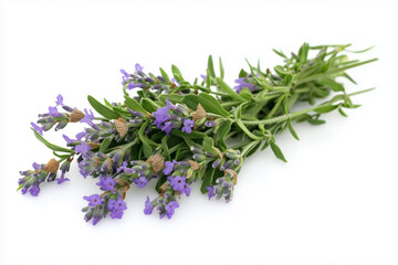 A Sprig of Fresh Purple Flowers Resting on a Clean, White Canvas.