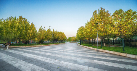 City at Twilight with Modern Architectural Design and Trees