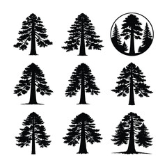 Tall Sequoia Tree Vector Silhouette