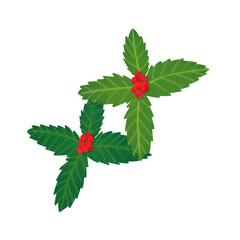 赤い実をつけたセンリョウ