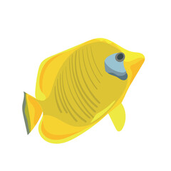 vector drawing tropical fish, yellow tang, lemon sailfin, somber surgeonfish, Zebrasoma flavescens isolated at white background, hand drawn illustration. Barbus semifasciolatus
