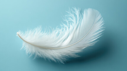 Obraz premium A soft, white feather suspended mid-air against a pastel blue background