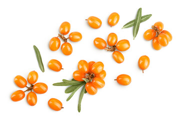 Sea buckthorn. Fresh ripe berry with leaves isolated on white background. Top view. Flat lay