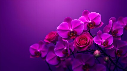 Bright pink orchids are gracefully arranged against a vibrant purple background, creating an elegant composition.