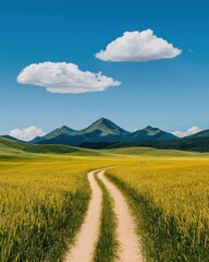 Fototapeta premium A winding dirt path leads through a golden field towards distant mountains under a clear blue sky with fluffy clouds.