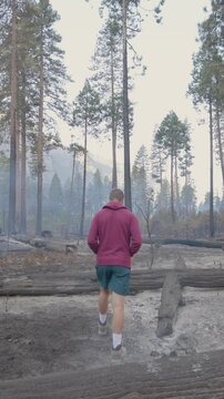 A man sets out to explore the charred and rugged landscape of Yosemite National Park, where he finds himself surrounded by towering trees in this unique wilderness environment and natural beauty