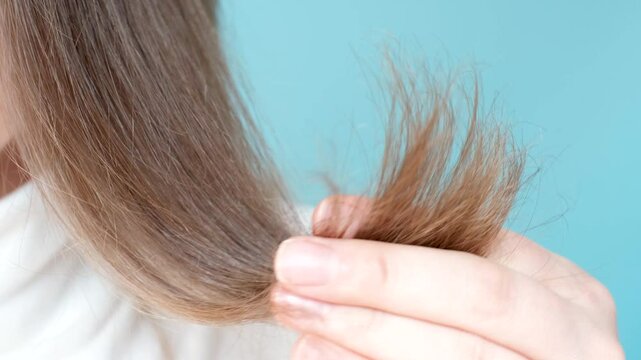 Woman holding her hair with split ends close-up on blue background.