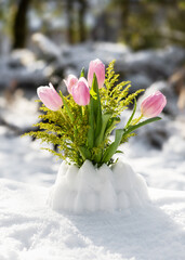 Beautiful bouquet of rosa tulip and yellow goldenrods flowers in snow vase in the cottage garden. Winter outdoor decoration concept. 