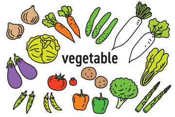 いろいろな野菜のシンプルでポップなカラーイラスト