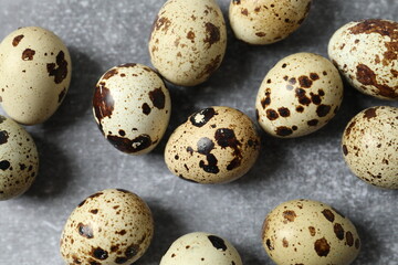 Quail eggs on gray background