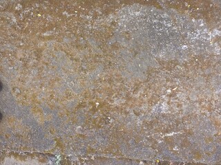 remains of white paint on the surface of the old wall plaster