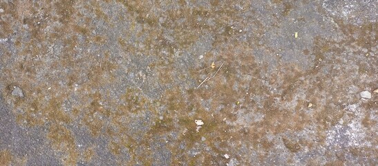 remains of white paint on the surface of the old wall plaster