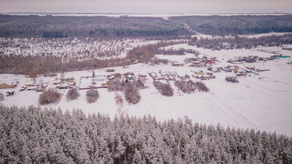 winter forest landscape in the wild