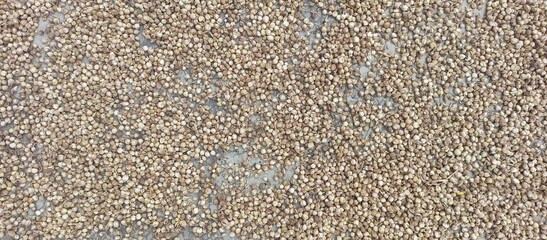 Pile of brown seeds on a gray surface