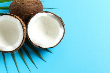 Coconut on color background, top view