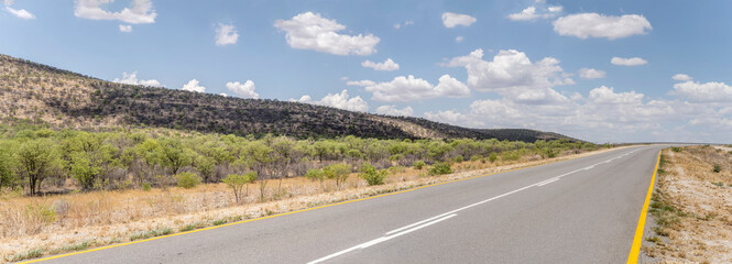 road C29 bending in green countryside, near Outjo, Namibia