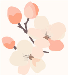 Minimalist apricot blossom illustration, soft peach and pink petals