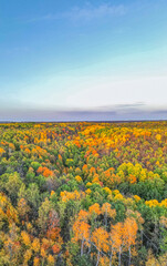 Obraz premium warm autumn in rural areas