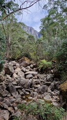 Mount Buffalo mountain backdrop to rocky stream in the forest