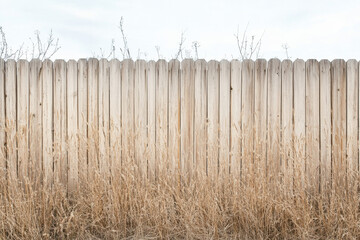 Wooden fence with weathered texture stands behind a patch of tall, dry grass under a pale sky, evoking a serene and rustic countryside atmosphere.