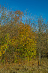 warm autumn in rural areas