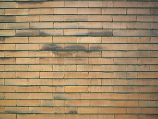 yellow brick wall background