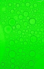 Macro microscope green bubble texture, Close-up Green bubbles and drops oil background . green green water bubbles, close up golden oil drop for cosmetic.