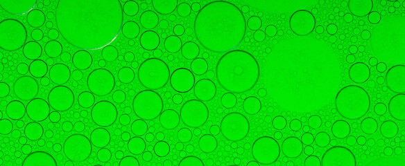 Macro microscope green bubble texture, Close-up Green bubbles and drops oil background . green green water bubbles, close up golden oil drop for cosmetic.