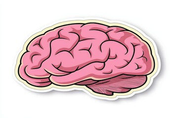 Minimalist illustration of a soft pink brain with smooth curves, symbolizing simplicity, cognitive balance, and the elegance of human thought
