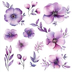 Pink Purple Floral Watercolor Clipart Set Botanical Designs for Invitations Branding and Websites