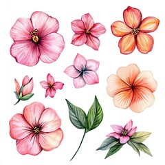 Watercolor Flower Clipart Elegant Floral Design Isolated Botanical Illustration Perfect for Wedding Invitations Greeting Cards and Spring Themes