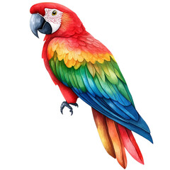 Fototapeta premium A vibrant parrot features striking red, green, and blue feathers, showcasing intricate patterns and a strong beak.