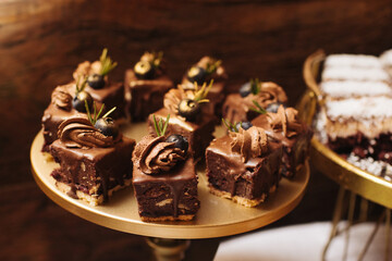 Chocolate dessert with berries. Sweet cocoa pastry. Gourmet cookies and biscuits. Delicious baked cake on a plate. Irresistible treat for chocolate lovers. Dark whipped cream topping.