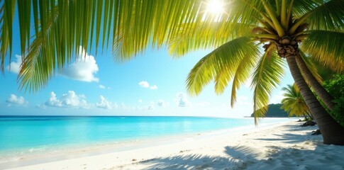 Sun-drenched palm fronds arch over white sand beach, caribbean, landscape