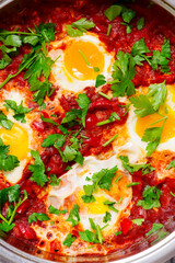 Shakshukka with feta and bread.traditional moroccan dish. selective focus. hugge style