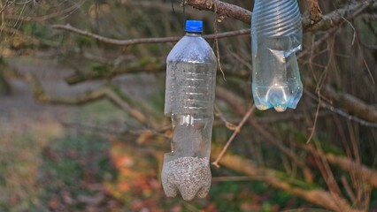 DIY Bird Feeder Made of Plastic PET Bottle Filled with Sunflower Seeds