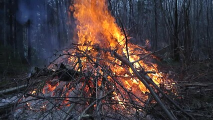 Large fire or a bonfire burning with a very big orange and yellow vibrant hot flame in a forest with pillar or smoke coming out from the top. Trees and mossy ground visible in the background at day. - Powered by Adobe