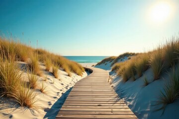 Wooden boardwalk curves through sun-dappled dunes , warm, texture