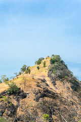 Trees and distant mountains, against a blue sky background.