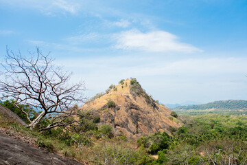 Trees and distant mountains, against a blue sky background.